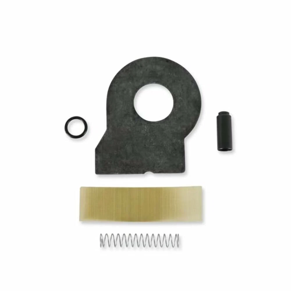 Fuel Pump Check Valve Kit - 12-806